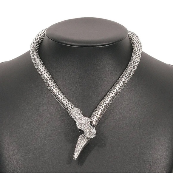 Anthropologie Jewelry - Serpenti Silver Snake Crystal Necklace